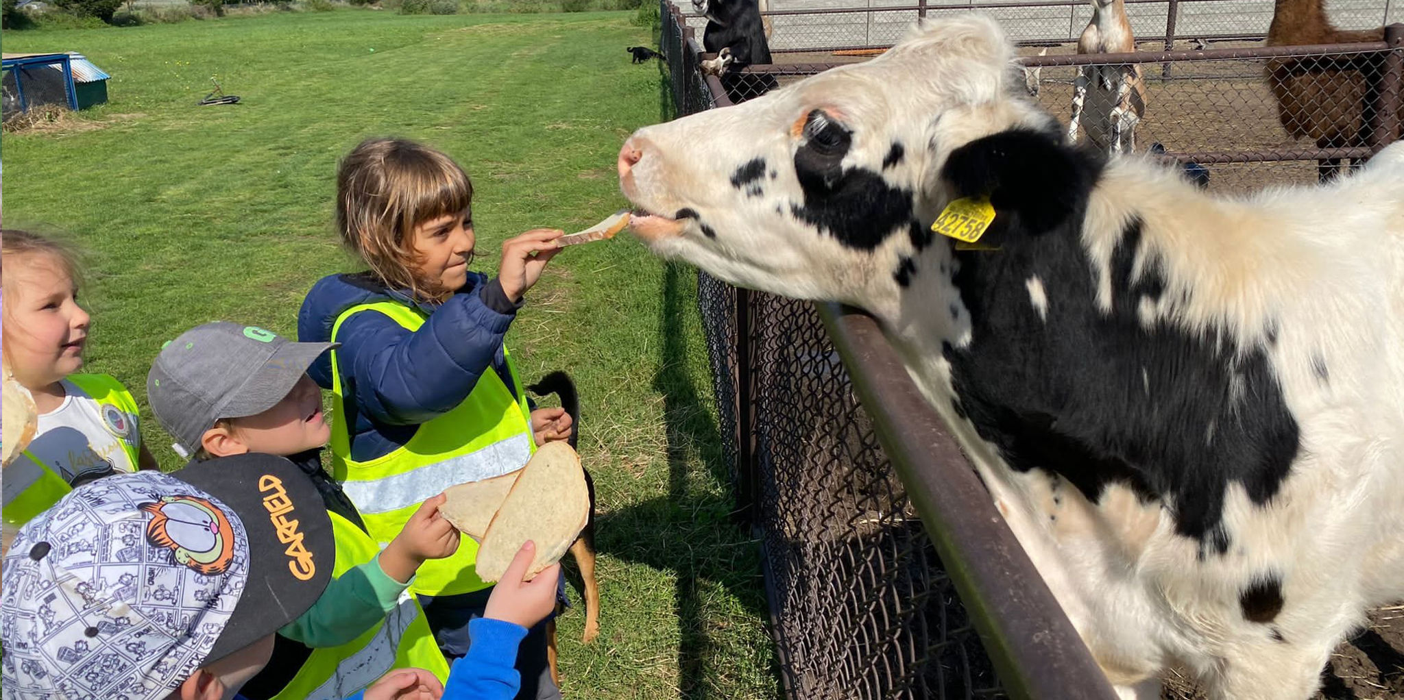 Wycieczki do Gospodarstwa Agroturystycznego „Świat Zwierząt” w Witoldzinie